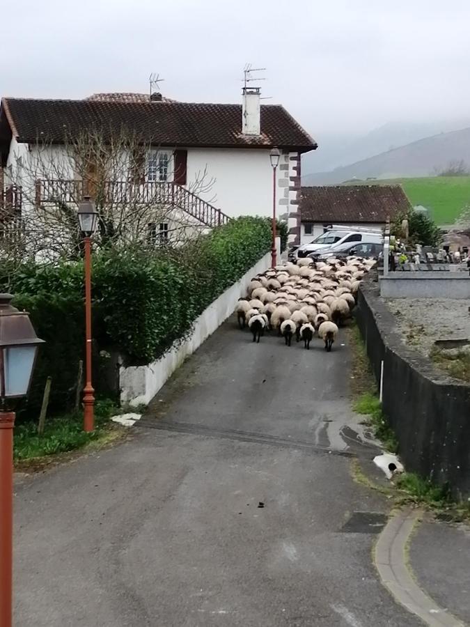 Gite Le Relais De La Source Ostello *
